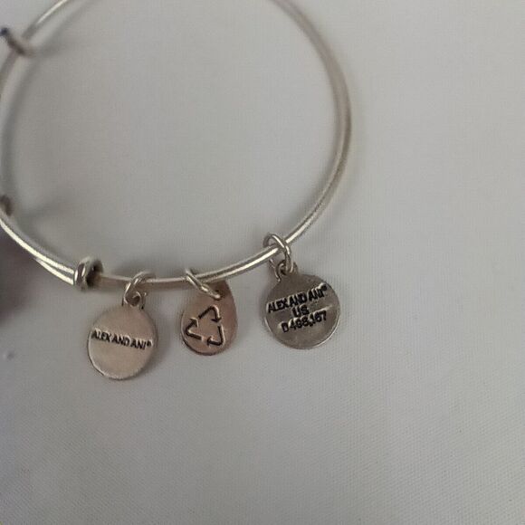 Alex & Ani  Compass Charm Silver Tone Expandable Bracelet Infused with Energy - Picture 7 of 8